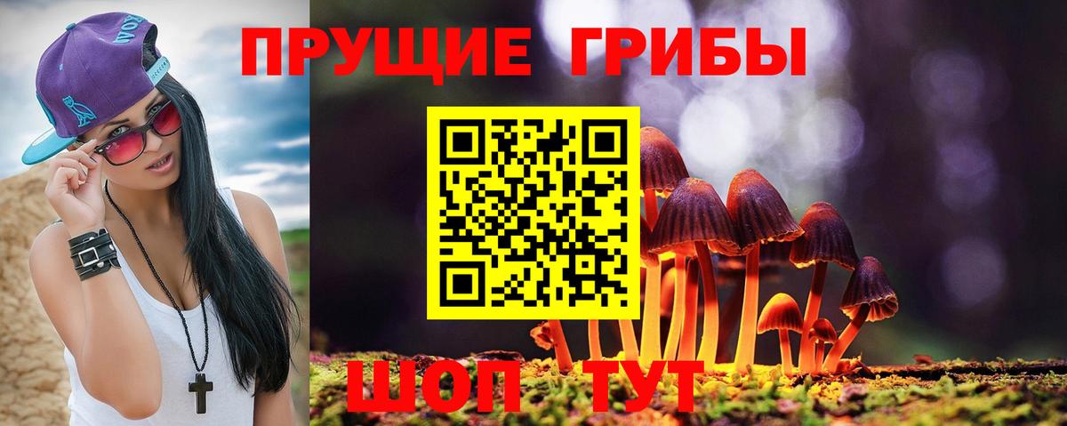 Псилоцибиновые грибы Cubensis  Вход с VPN  Галлюциногенные грибы GOLDEN TEACHER  Дзержинск 