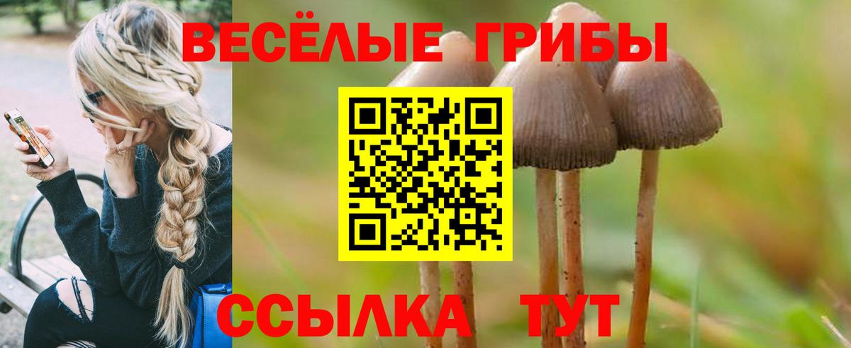 Галлюциногенные грибы мухоморы Дзержинск